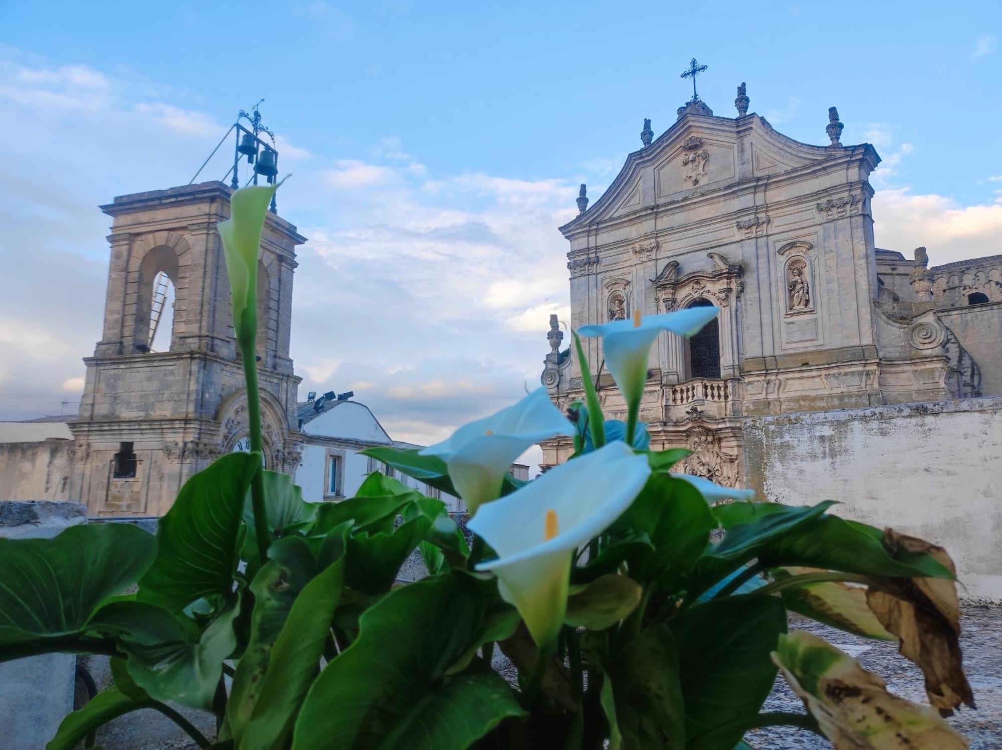 Il Plebiscito Luxury Loft Fronte Basilica Lejlighed Martina Franca Eksteriør billede